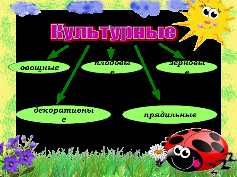 Окружающий мир 2 класс культурные растения презентация 2 класс