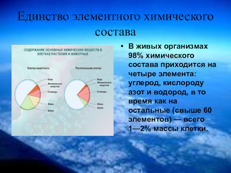 Единство химического состава. Единство элементного химического состава. Химический состав всех живых организмов. Единство химического состава это в биологии.