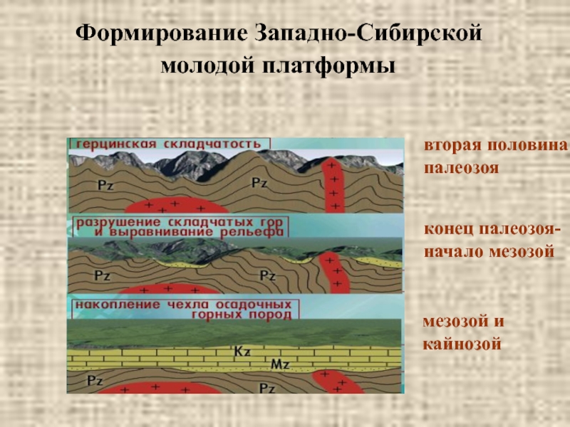 Древняя платформа имеет. Геологическое строение Западной Сибири Сибири. Строение платформ Геология. Строение геологической платформы. Строение Западно сибирской платформы.