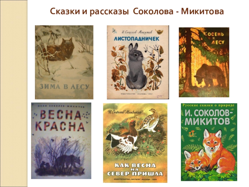 Как представляет свою родину соколов микитов какие факты сообщает прочитайте дополните схему