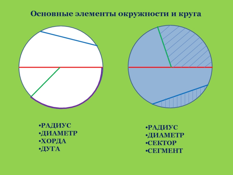 Перечислите все радиусы диаметры и хорды окружности по рисунку