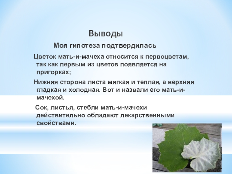 Как голосуют россияне мои наблюдения и выводы презентация