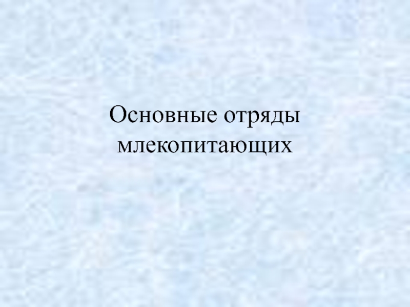 Презентация Презентация по биологии Основные отряды млекопитающих 7 класс