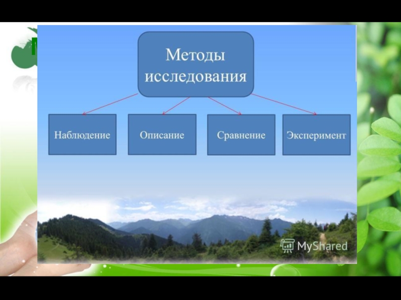 Методы познания природы 2 класс окружающий мир. Методы изучения живых организмов. Методы изучения живых организмов 5 класс. Что такое метод исследования в биологии 5 класс. Методы наблюдения за живыми организмами.