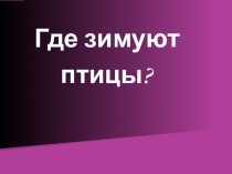 Презентация по познанию мира на тему Где зимуют птицы?
