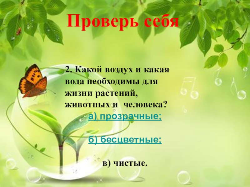 Жизнь растений 2. Воздух для человека и животных и растений. Какая вода необходима для жизни растений животных и человека. Воздух в жизни растений и животных. Роль воздуха в жизни растений.