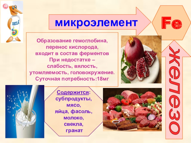 Какой продукт можно сделать для проекта по биологии