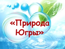 Презентация по окружающему миру  Природа Югры