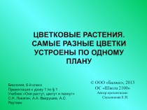 Презентация по биологии 6 кл
