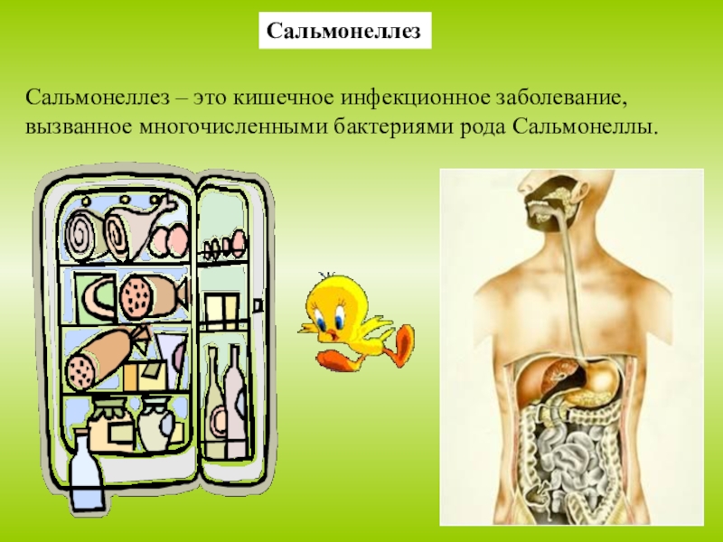 СальмонеллезСальмонеллез – это кишечное инфекционное заболевание, вызванное многочисленными бактериями рода Сальмонеллы.