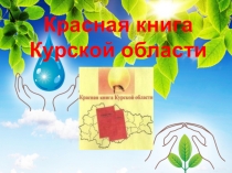Презентация Красная книга Курской области