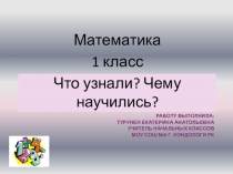 Презентация по математике 1 класс на тему Что узнали. Чему научились.