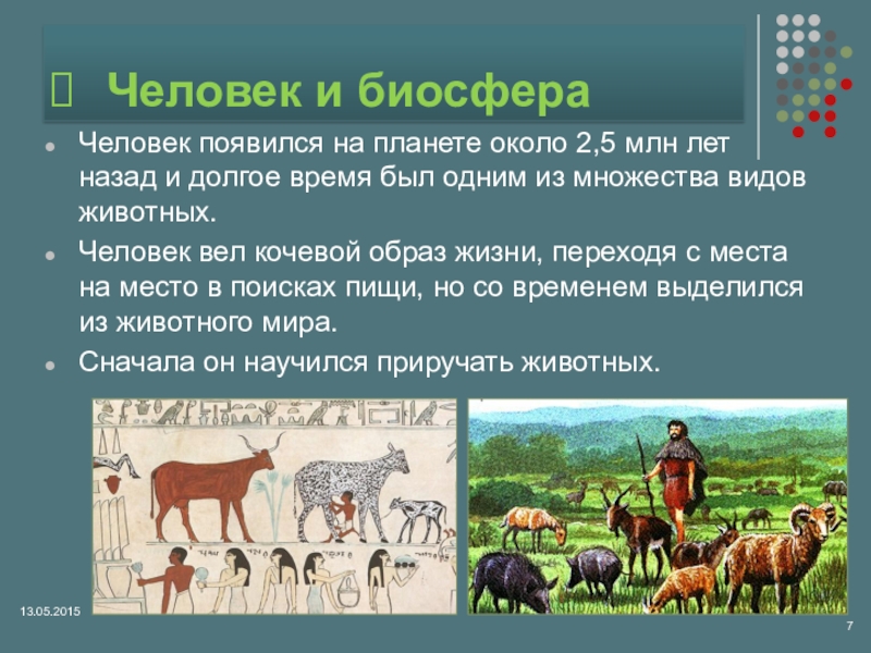 Влияние человека на биосферу презентация 6 класс география