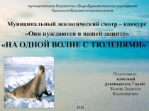 Презентация На одной волне с тюленями