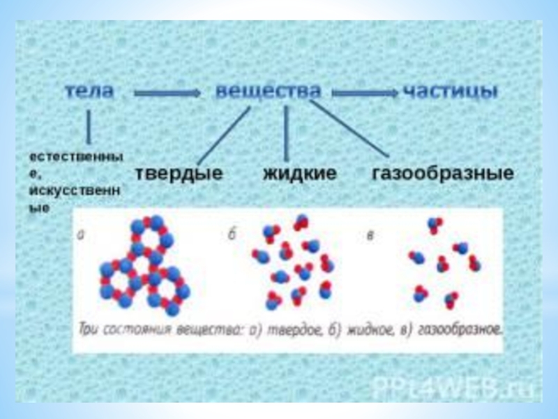 Презентация тела вещества частицы