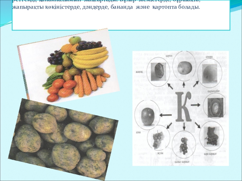 Адам ағзасындағы химиялық элементтер презентация