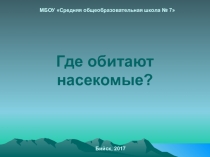 Презентация по окружающему миру по теме Места обитания насекомых