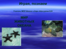 Презентация по биологии Мир животных океана