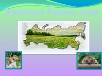 Презентация к уроку на тему Животные Родины моей (7 класс)