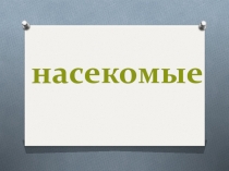 Презентация по окружающему миру Насекомые (1-2 класс)