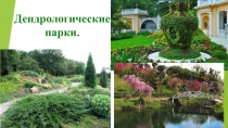 Презентация по биологи на тему Дендрологические парки