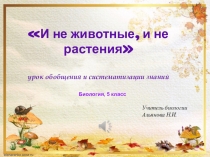 Презентация к уроку биологии, 5 класс. Бактерии. Грибы