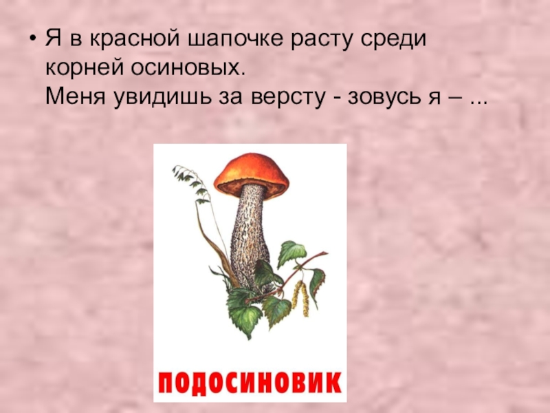 Подосиновик осина корни. Грибы урок 5 класс ФГОС Пономарева. Гриб растет среди дорожки голова на тонкой ножке.