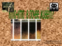 Презентация по окружающему миру Обитатели почв.