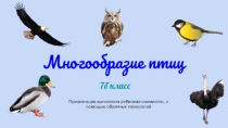 Презентация Многообразие птиц 7 класс