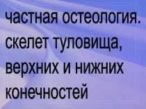 Презентация по биологии на тему Остеология. Скелет туловища и конечностей (8 класс)