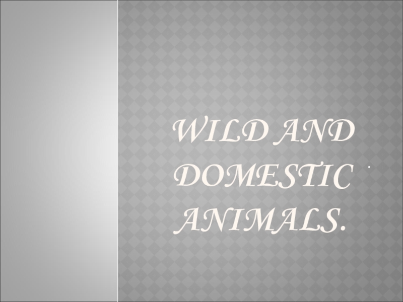 Презентация Презентация по английскому языку на тему Wild and domestic animals (2 класс)