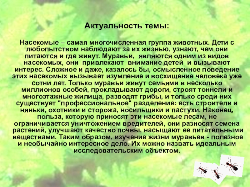 Актуальность лета. Насекомые актуальность темы. Актуальность изучения насекомых. Актуальность проекта насекомые. Актуальность изучения темы насекомых.