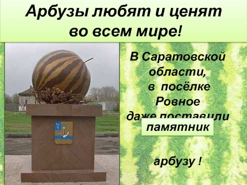 В Саратовской области, в посёлке Ровное даже поставили арбузу ! Арбузы любят и ценят во всем мире!памятник