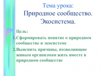 Презентация к уроку Природные сообщества