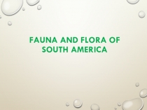 Презентация по английскому языку на тему Fauna and Flora of South America