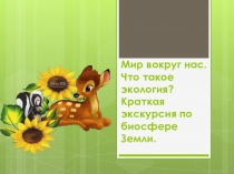 Презентация по экологии Мир вокруг нас. Что такое экология? Краткая экскурсия по биосфере Земли (1- 5 класс)