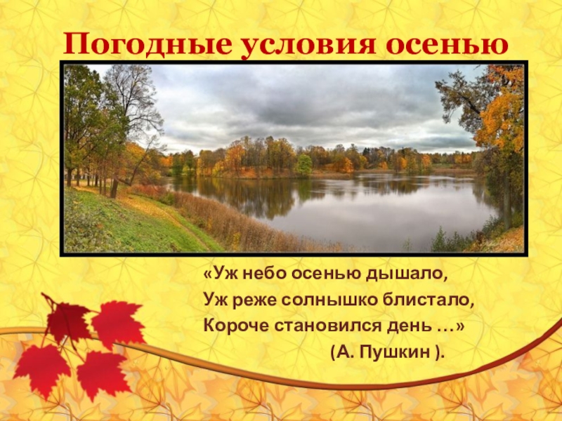 Осенний условие. Уж небо осенью. Уж лето осенью дышало. Уж реже солнышко блистало. Уж утро осенью дышало.