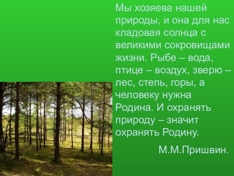 Презентация лес 2 класс. Лес наше природного богатство. Лес для презентации. Лес-наше богатство презентация. Презентация о лесе для начальной школы.