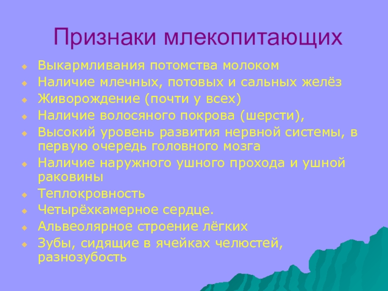 Отличительные признаки млекопитающих