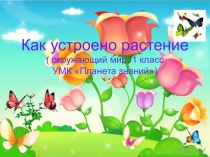 Презентация по окружающему миру на тему Как устроено растение