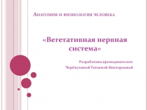 Презентация по анатомии Вегетативная нервная система