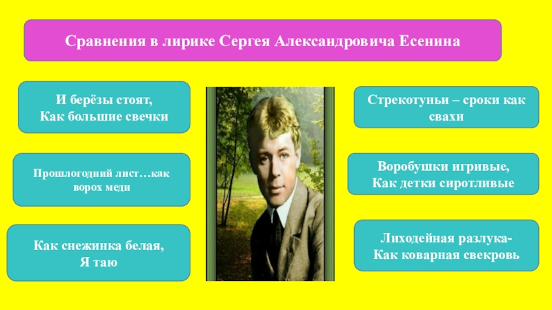 На столе у окна стояла ваза с яблоками и грушами части речи впр