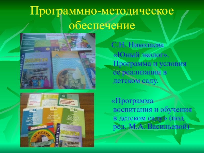 Юный эколог николаевой. Программно-методическое обеспечение это. Методическое обеспечение программы Юный эколог. Методическое обеспечение программы Юный эколог Николаевой. Парциальная программа Юный эколог с.н Николаева.