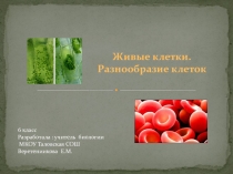 Презентация по биологии Живые клетки. Разнообразие клеток (6 класс)