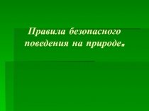 Презентация Правила безопасности на природе