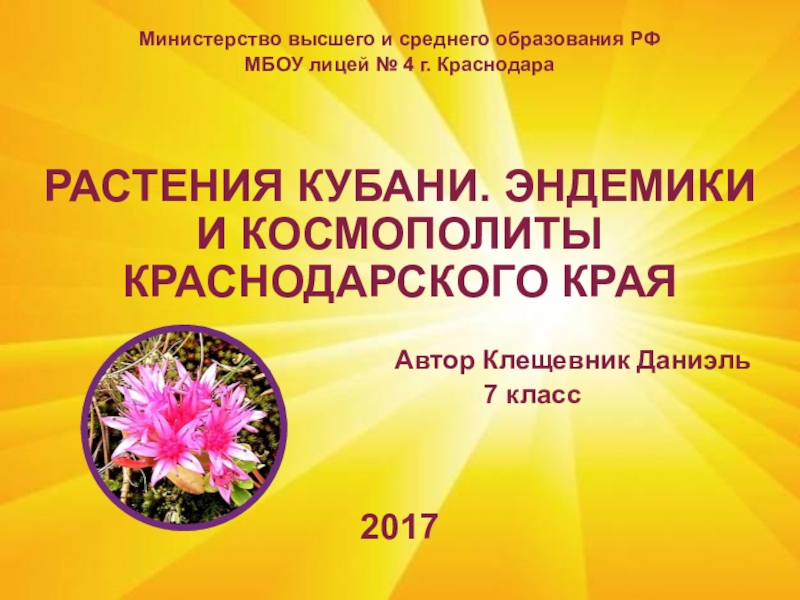 Министерство высшего и среднего образования РФМБОУ лицей № 4 г. КраснодараРАСТЕНИЯ КУБАНИ. ЭНДЕМИКИ И КОСМОПОЛИТЫ КРАСНОДАРСКОГО КРАЯ