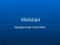 Презентация по биологии 8 класс Мышечная система