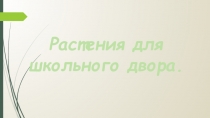 Презентация по биологии на тему  Растения для школьного двора