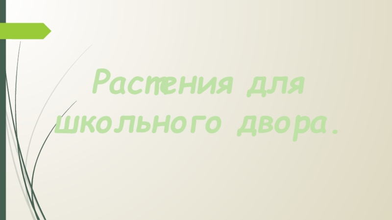 Растения школьного двора презентация