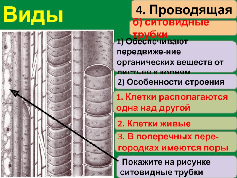 4 проводящая